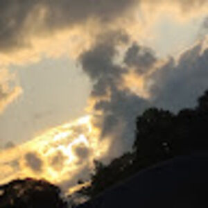 Meet your Posher, Mercy